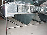Клітка для кролів міні ферма КМОП -144 ( змішане утримання 12 /72), фото 5