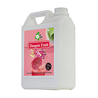 Сироп для Коктейлів Драконячий Фрукт TM BoboQ 2.5 кг