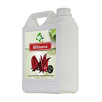 Сироп для Коктейлів Гібіскус TM BoboQ 2.5 кг