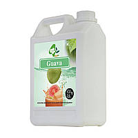 Сироп для Коктейлів Гуава TM BoboQ 2.5 кг
