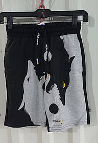 Шорти для хлопчиків оптом, Grace, 134-164 рр., арт. B14040