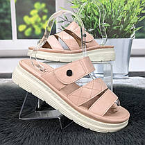 Шльопанці жіночі L.Trendy рожеві еко-шкіра 4984, фото 3