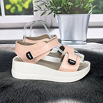 Босоніжки жіночі Carti пудрові шкіряні на платформі 4877, фото 4