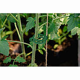 Затискачі для кріплення рослин 22мм, 100 штук,
TYK022GR/100, фото 3