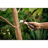 Ніж універсальний серпоподібний 22см, TPR,
AK-KN0010, фото 4