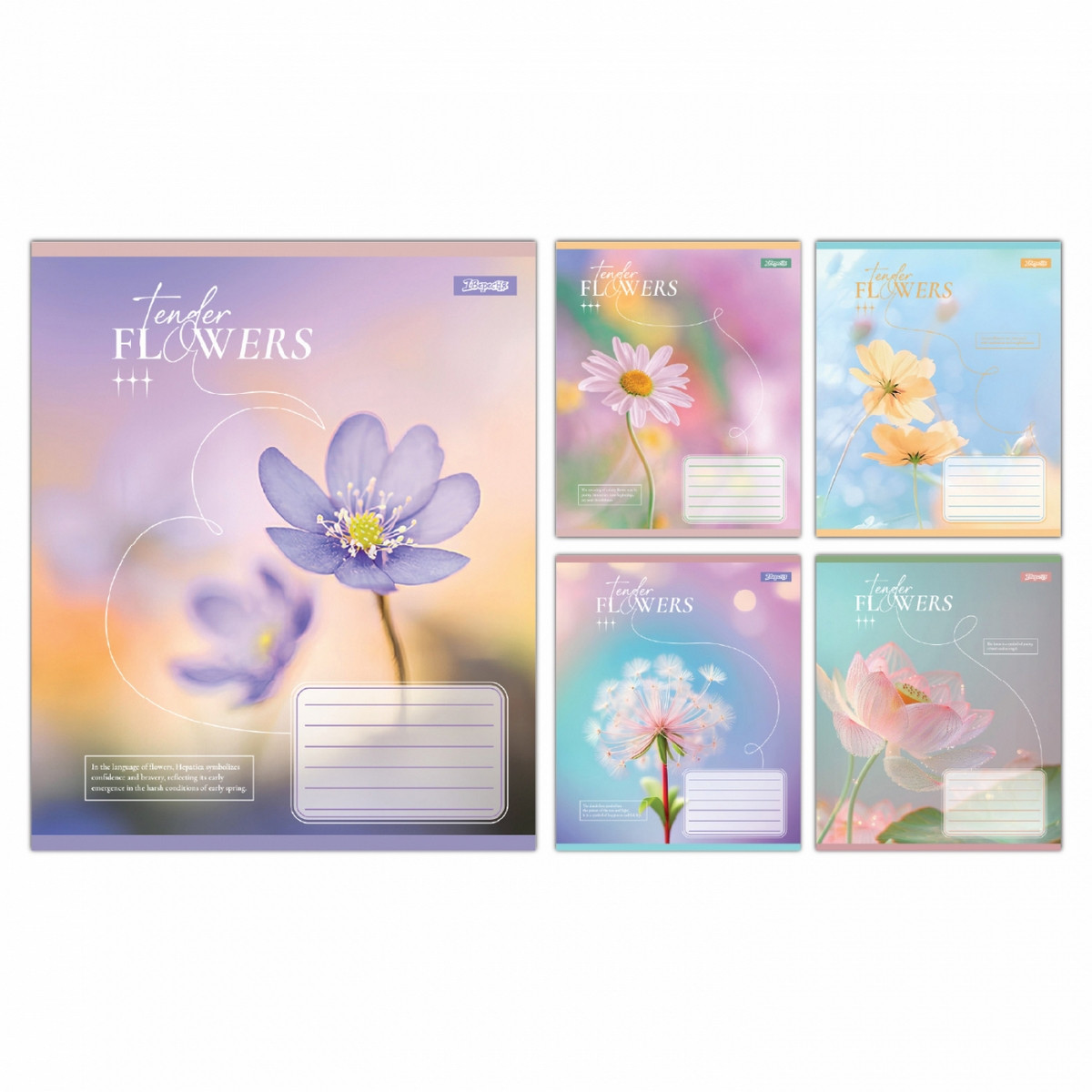 Зошит 1 Вересня Tender Flowers 12 арк. коса лінія мікс дизайнів (768073)