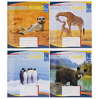 Зошит шкільний 24 листи клітинка, серія "Тварини - красива планета", білизна 100%