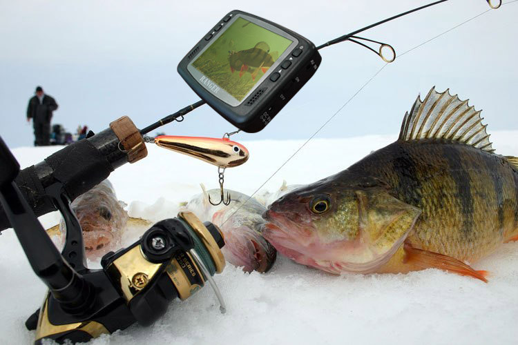 Подводная видеокамера для зимней рыбалки видеоудочка 15 м: продажа ...