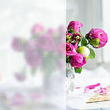 Плівка віконна 600*3000мм (D) SW-00002164, фото 5