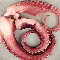 Щупальця Гігантського Кальмару, уп 1кг