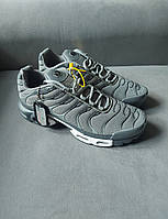Nike Air Max Plus Grey