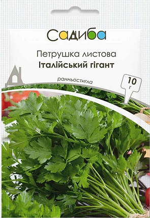 Насіння петрушки Італійський гігант 10 г, Садиба Центр, фото 1