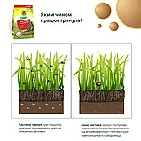 Газонне добриво 5 кг COMPO Turbo з мікоризою органо-мінеральне добриво для всіх типів газонів, фото 6