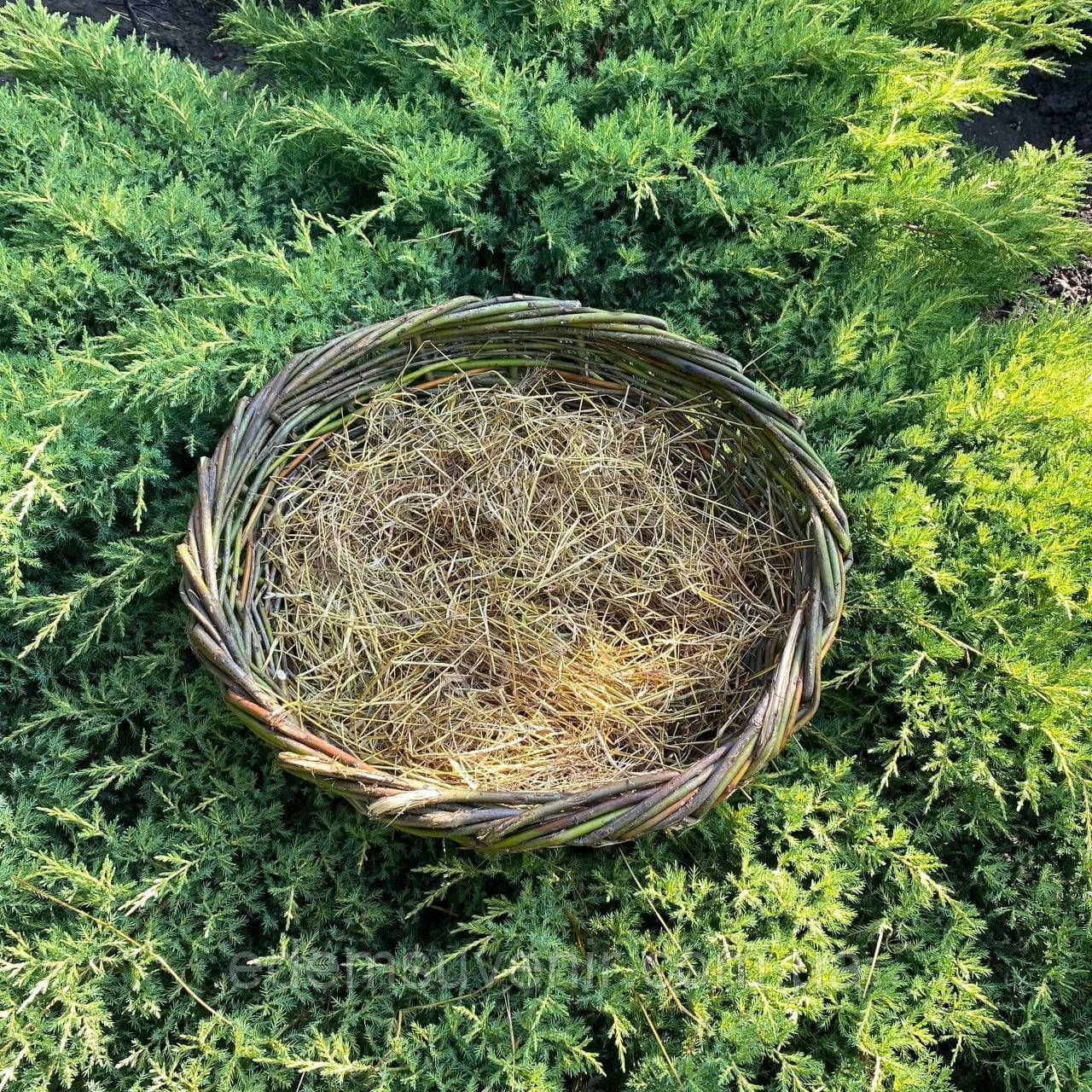 Гніздо для лелек та птахів з лози, діаметр 55 см – натуральна міцна прикраса для саду й дому