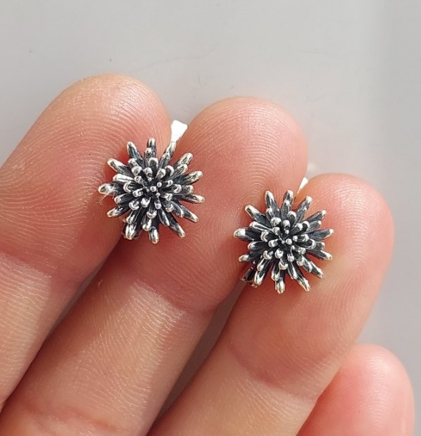 Срібні сережки Рея, фото 1