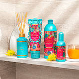 Оригінал! Парфумована вода Tesori d&apos;Oriente Ayurveda 100 мл (8008970043654) - Вища Якість!, фото 5