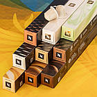 Набір кави в капсулах "Barista Holidays" Nespresso — 9 улюблених смаків (90 шт.), фото 2