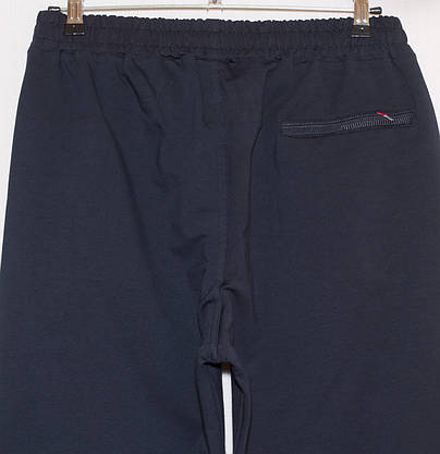 Спортивні штани чоловічі сині туреччина  Mxtim/Avic 189 L,XL,XXL,3XL, фото 5