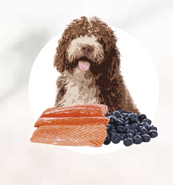 Корм для дорослих собак Orygo Salmon з лососем та чорницею напіввологий 8кг (ORYGD030000947), фото 3