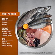 Сухий корм для дорослих собак та цуценят малих порід Orijen Small Breed Puppy 1,8кг (o72247), фото 4