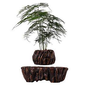 Магнітний левітаційний горщик для рослин HCNT Magnetic Levitating Pot M5B-PW Brown ly