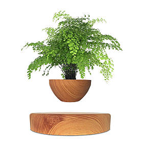 Магнітний левітаційний горщик для рослин HCNT Magnetic Levitating Pot M10-PS Wood Grain ly