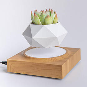 Магнітний левітаційний горщик для рослин HCNT Magnetic Levitating Pot M10-FP  Wood Grain ly