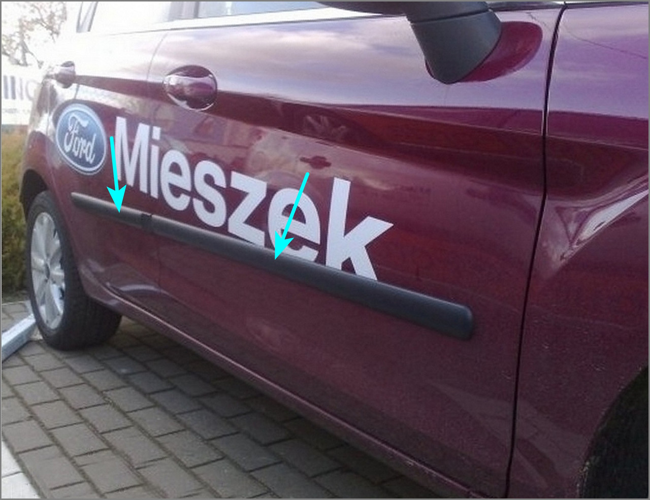 Молдинги на двері для Ford Fiesta 5Dr 2008-2017, фото 1