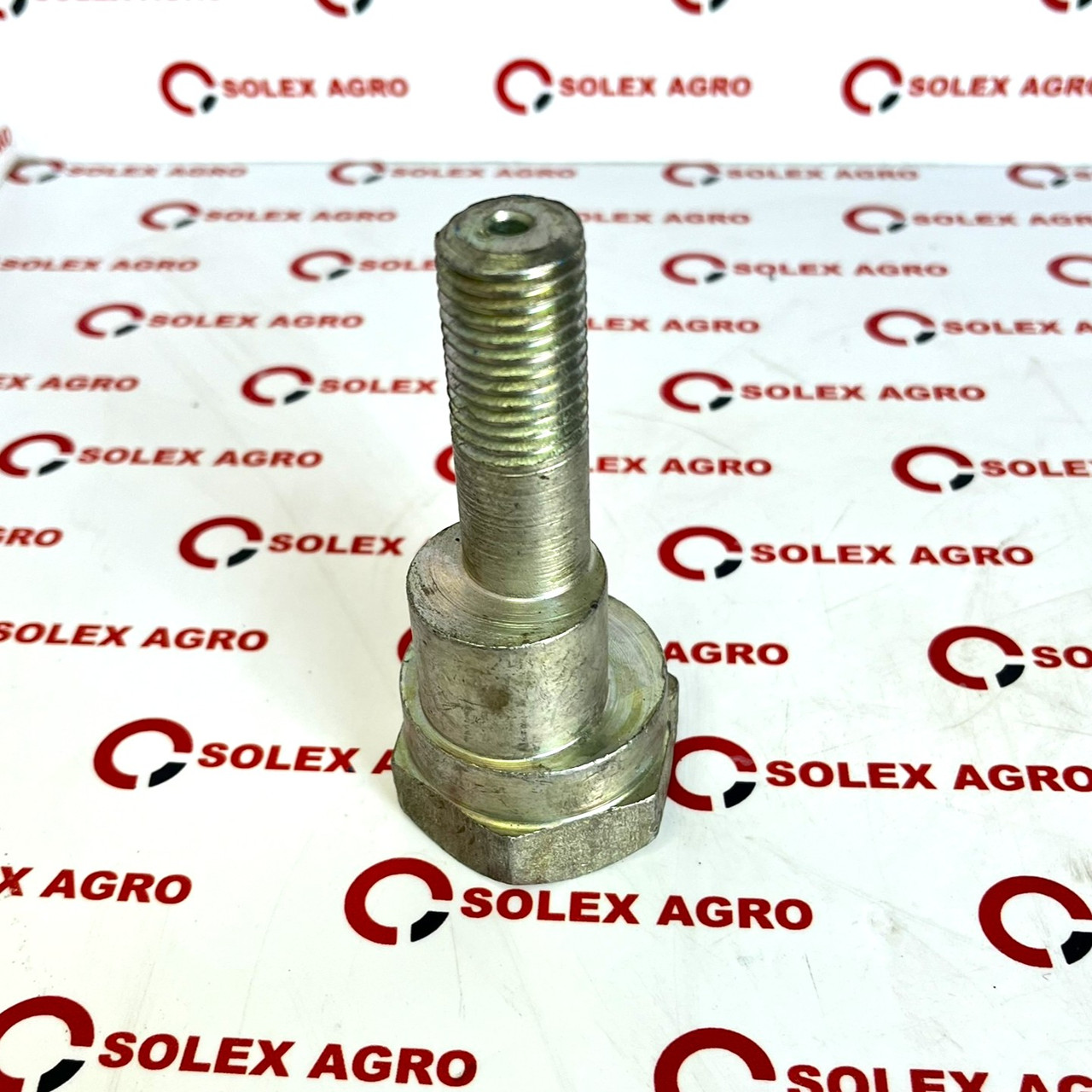 30110072 Болт ексцентриковий M20x95-D45/31 Zn Lemken, фото 1