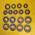 Комплект підшипників роторної косарки Віракс, WIRAX 1.35, 1.65