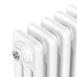 Радіатор Calidum 3-13 605х600, anticor, білий, фото 4