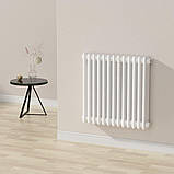 Радіатор Calidum 3-13 605х600, anticor, білий, фото 5