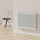 Радіатор Calidum 3-17 785х600, anticor, білий глянцевий, фото 5