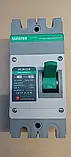 Автоматичний вимикач Suntree DC MCCB SM8-250HPV, фото 4