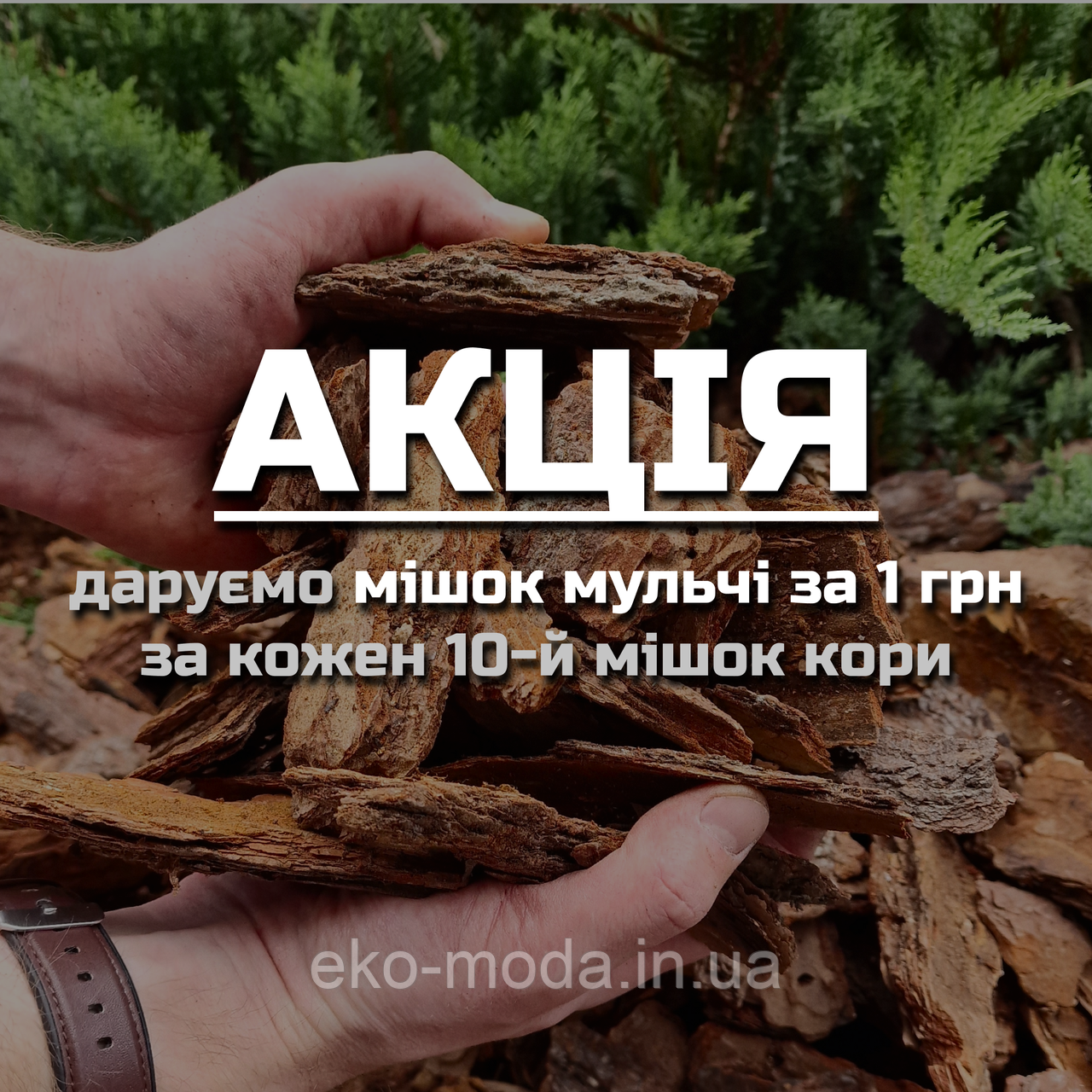 Кора соснова, фракція 6-13 см - ВЕЛИКА