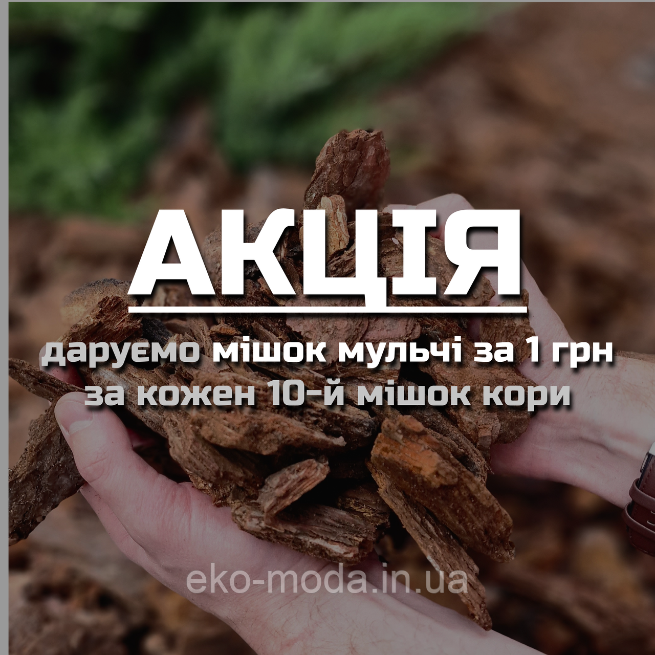 Кора соснова, фракція 3-6 см - СЕРЕДНЯ