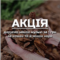 Тільки ОПТ! Кора соснова, фракція 3-6 см - СЕРЕДНЯ