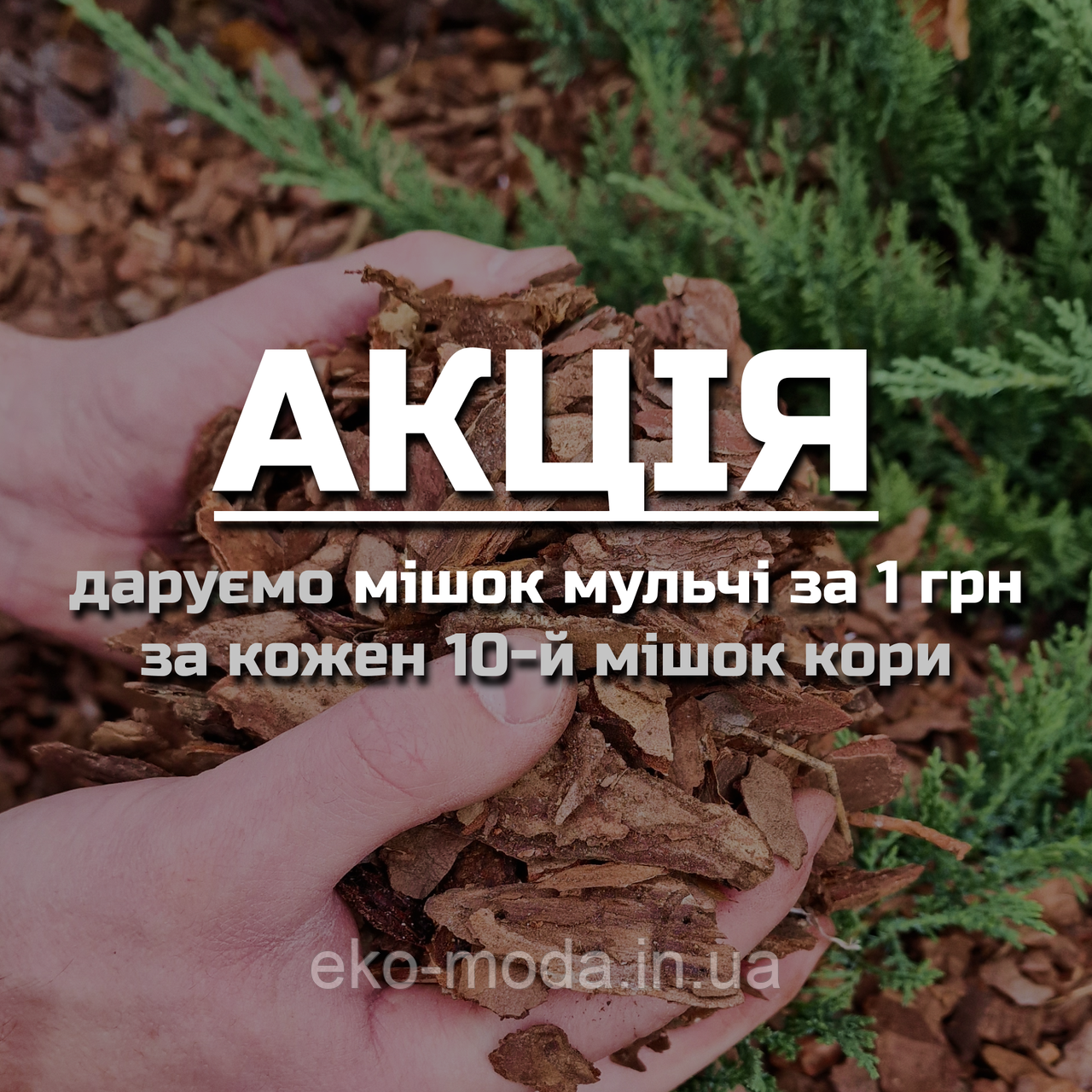 Кора соснова, фракція 1-3 см, від 1 до 49 мішків - ДРІБНА