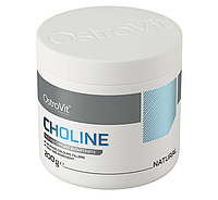 Choline OstroVit 200 г, фото 2
