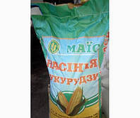 Насіння кукурудзи Здобуток ФАО 290 (Маїс)