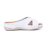 Шкіряні шльопанці жіночі Tellus 25-01W Білі, фото 3