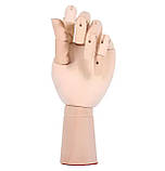 Дерев'яна рука манекен RESTEQ 18см модель для тримання товару, для малювання, фото 4
