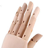 Дерев'яна рука манекен RESTEQ 18см модель для тримання товару, для малювання, фото 7