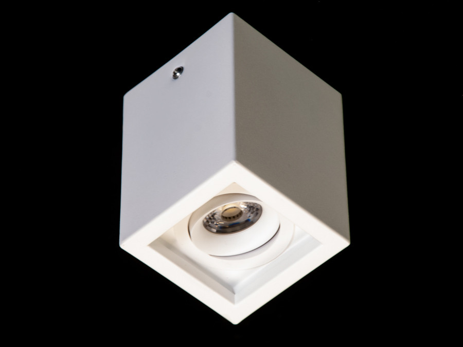 Білий накладний точковий світильник із поворотним механізмом для кухні 136F-WH