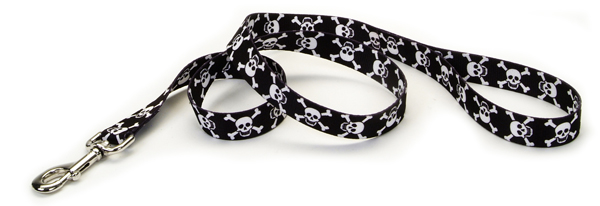 Coastal Pet Attire Style повідець для собак, 2,5 см х 1,2м Череп