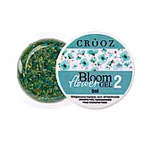 Crooz Гель для дизайну Bloom flower №02, 5г, фото 2