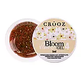 Crooz Гель для дизайну Bloom flower №04, 5г, фото 2