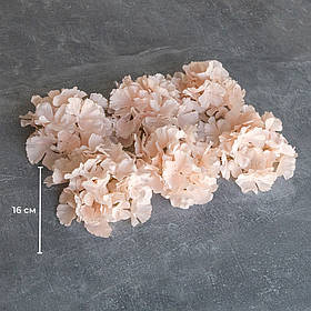 Головка гортензії, кремова, 16 см ELISEY