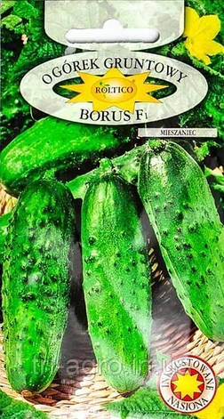 Огірок Борус 5 г (Ролтіко), фото 1