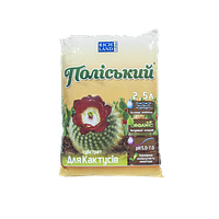 Субстрат Поліський Rich Land для кактусів 2,5 л